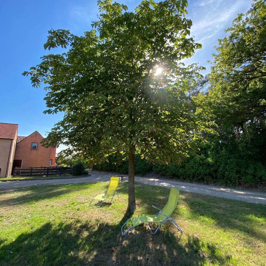 Ferienwohnung Auf Pferdehof Dreetz Exterior foto